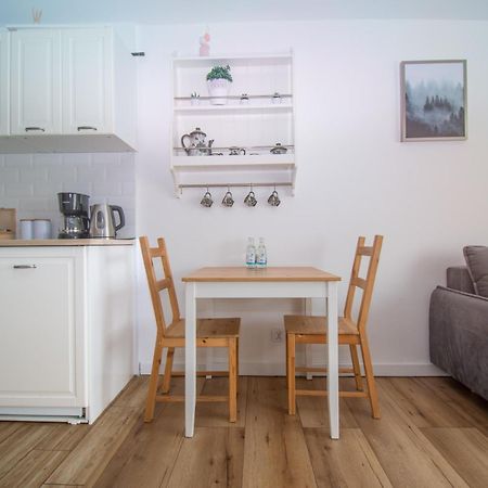 Apartament Przy Zdrojowej 切霍齐内克 外观 照片