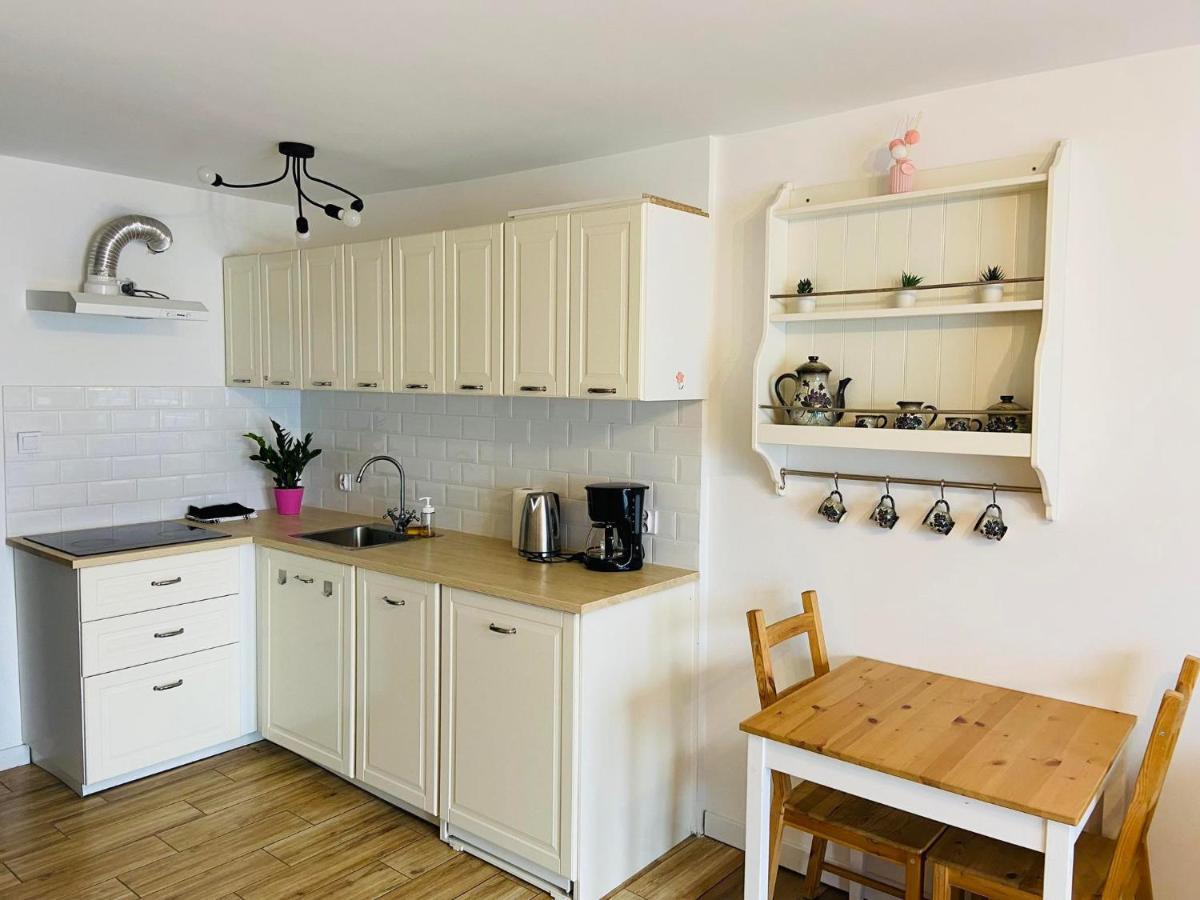 Apartament Przy Zdrojowej 切霍齐内克 外观 照片