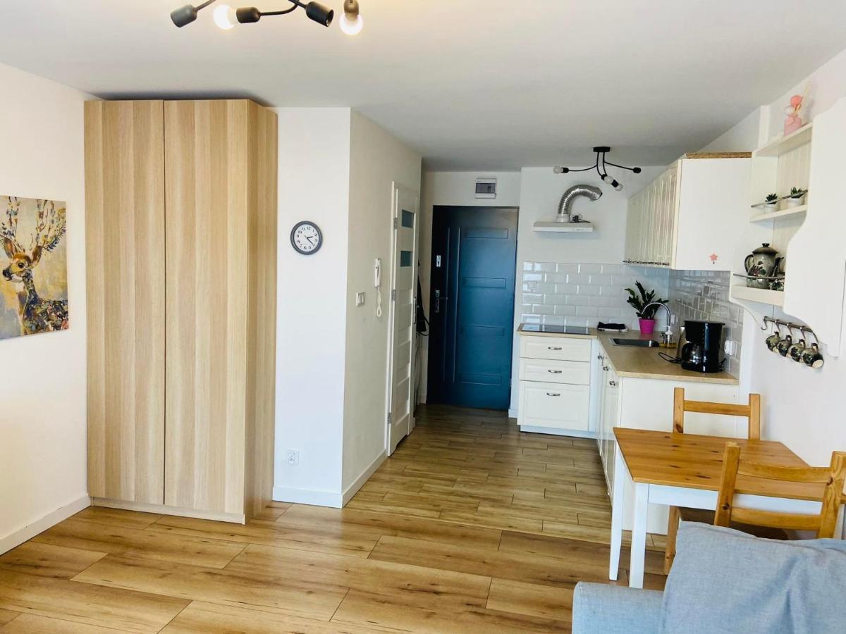 Apartament Przy Zdrojowej 切霍齐内克 外观 照片