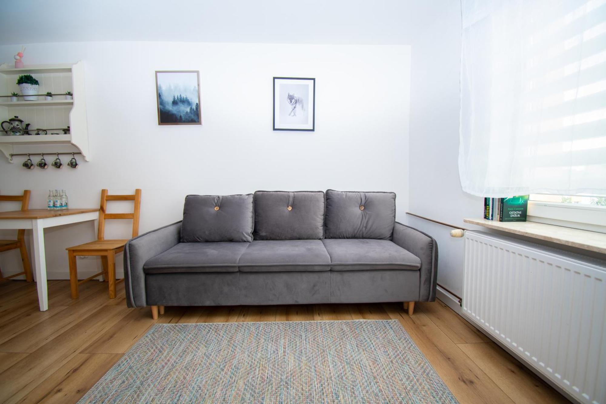 Apartament Przy Zdrojowej 切霍齐内克 外观 照片